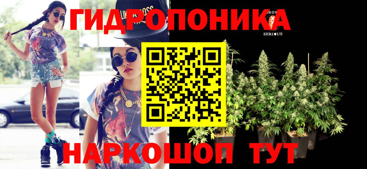 Бошки Шишки AK-47  Марихуана план  Вход с VPN  Карачаевск  Каннабис индика 